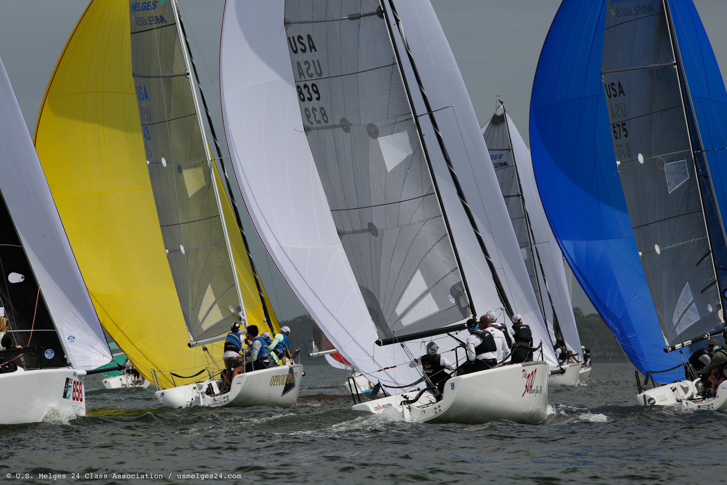 Melges 24 fleet in 2019 Chareston Race Week